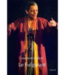 Le fulgurant de Mimi Barthelemy.jpg